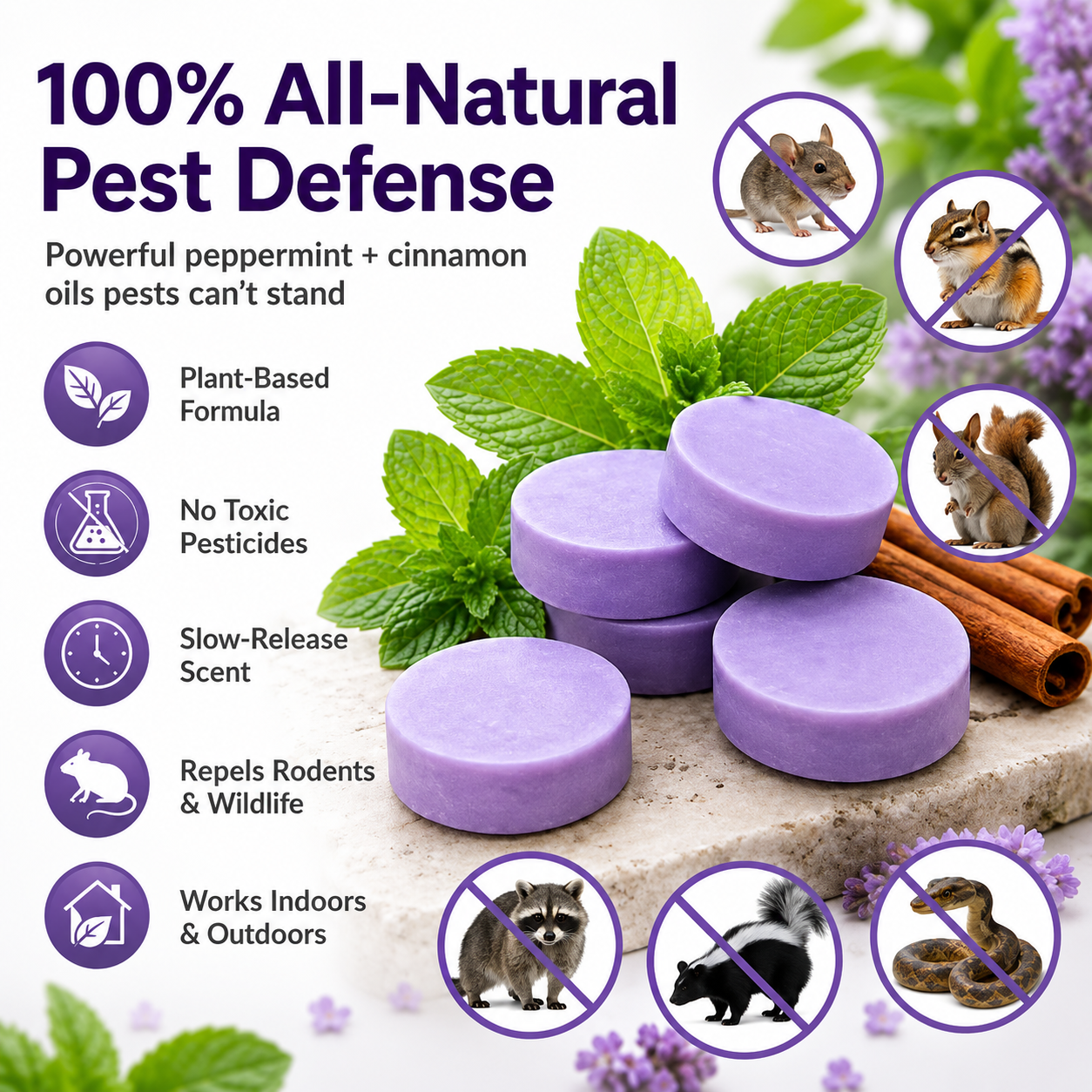 ✅ 10,000+ Happy Customers 🐭 All-Natural Peppermint & Cinnamon Pest & Rodent Repellent Pucks 🕷️🐍